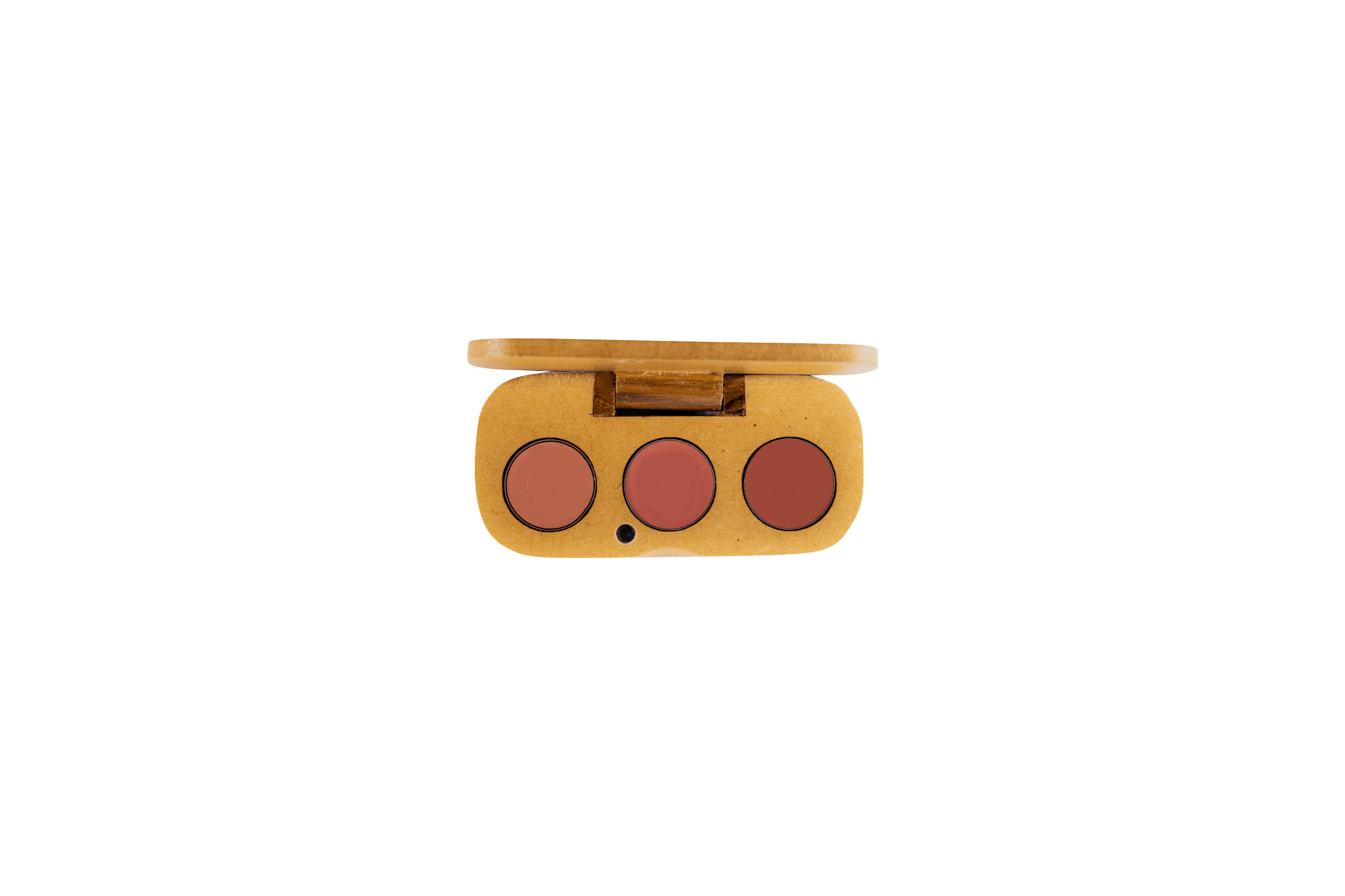 PALETA DE LABIALES No. 25 X 3 UDS