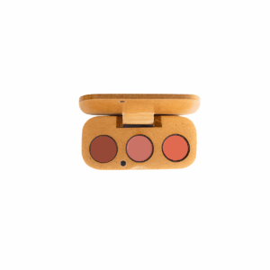 PALETA DE LABIALES No. 26 X 3 UNIDADES