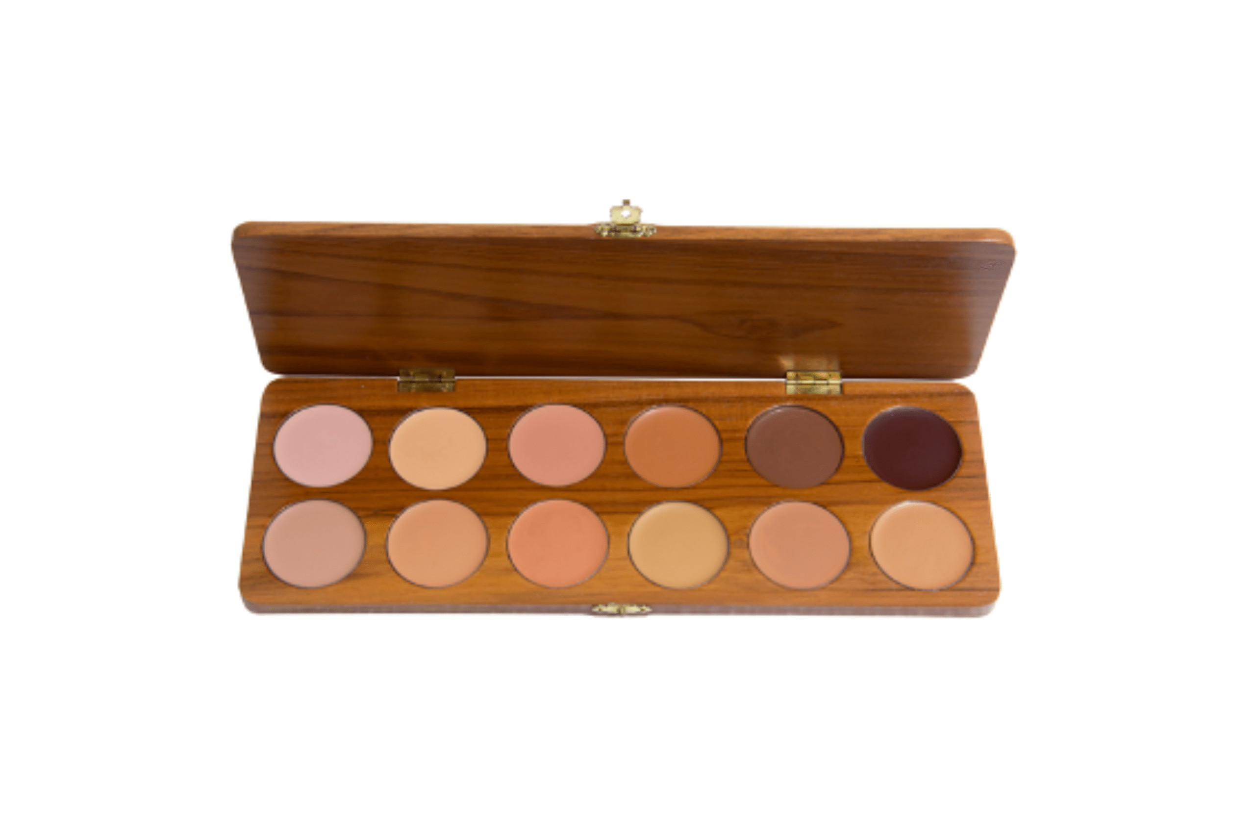 BASES OLEOSAS PALETAS X 12 UNIDADES