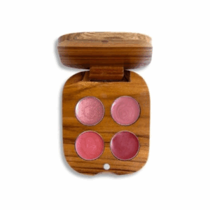 PALETA DE LABIALES No. 17 X 4