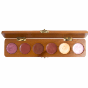 LABIALES EN PALETA X 6UNDS