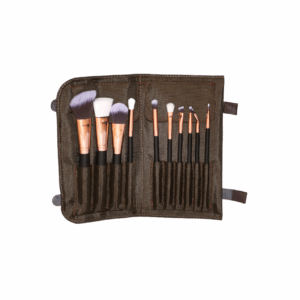 KIT DE PINCELES X 10 UDS.